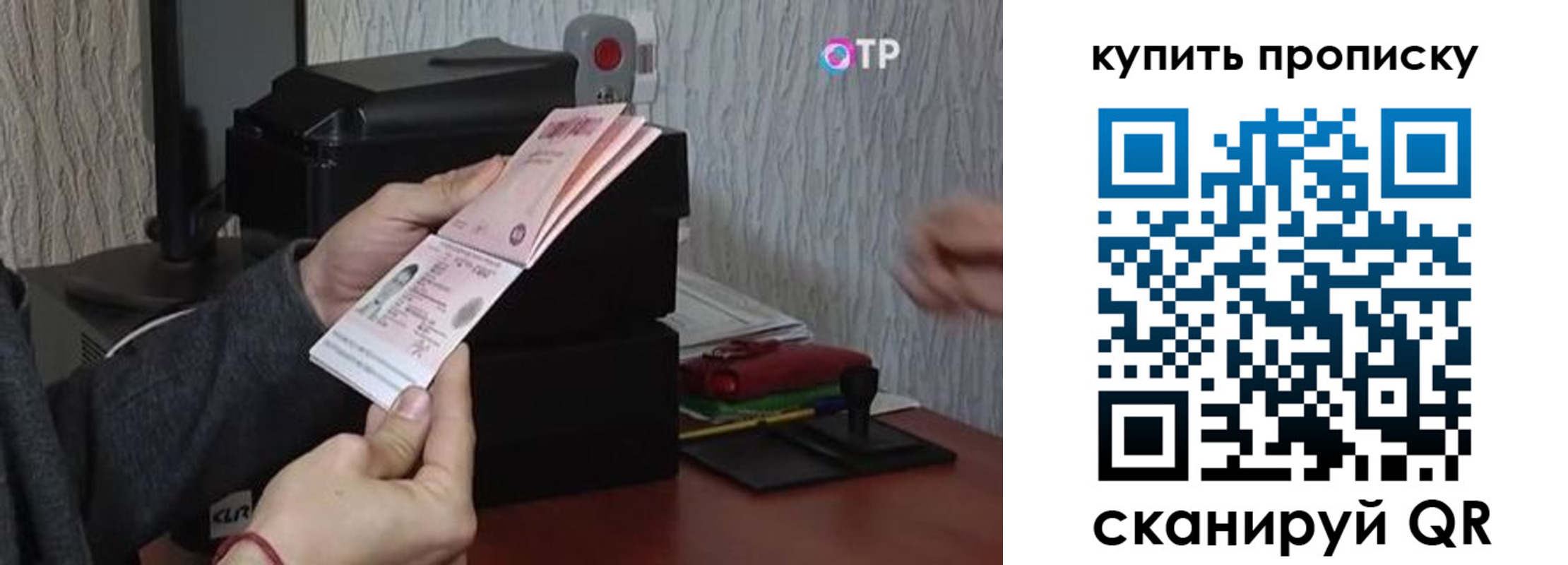 прописка гарантия в Полярном